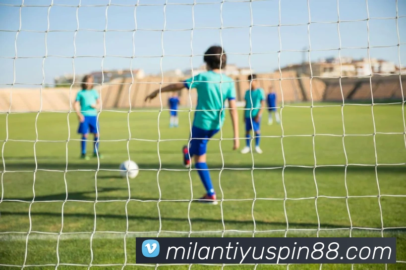 米兰体育平台生态图