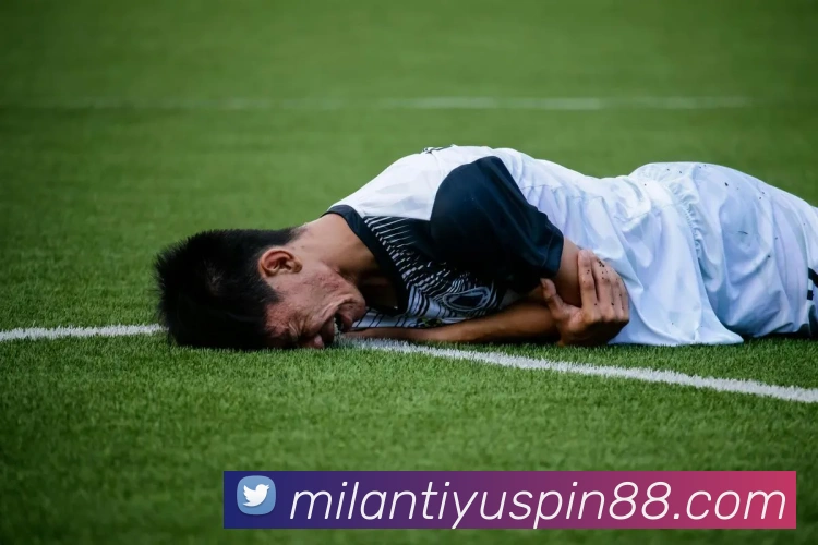 米兰体育APP 封面图